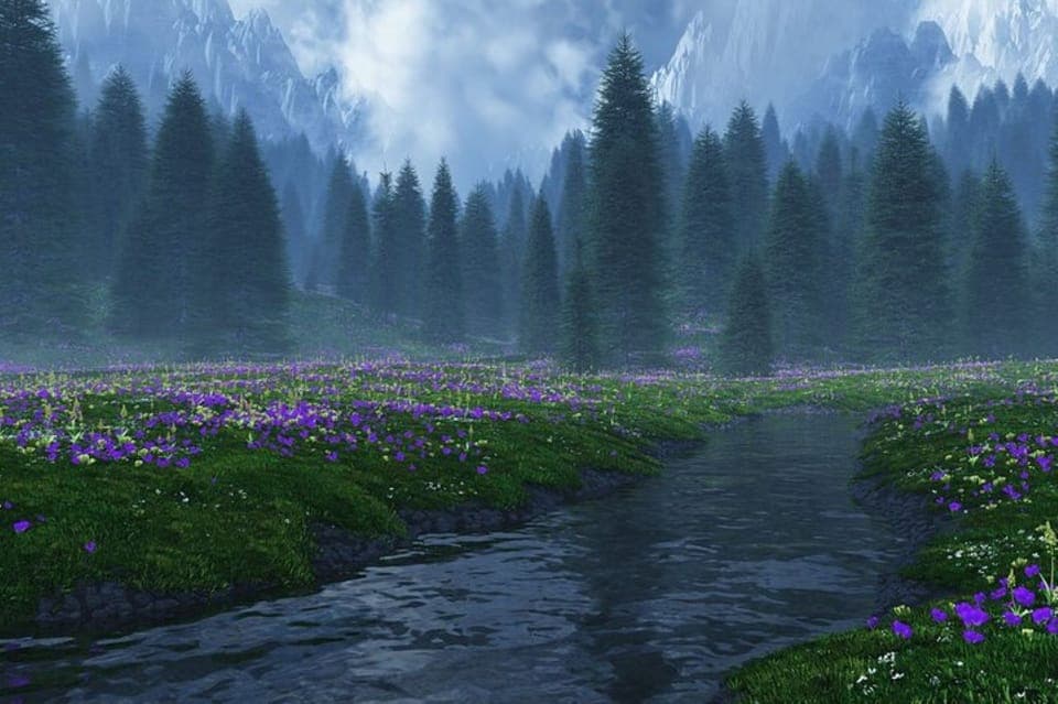 Twilight Forks Washington Tour Gallery Image 2