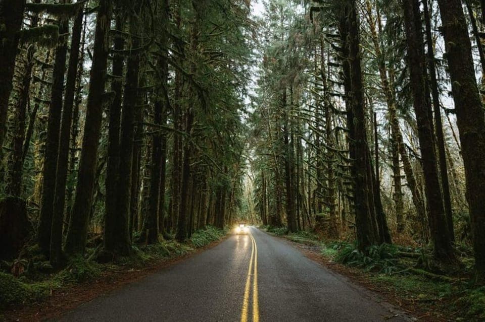 Twilight Forks Washington Tour Gallery Image 3