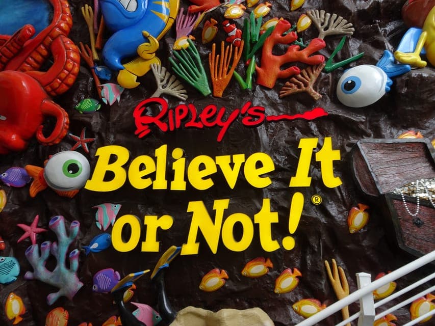 Sky Wheel Pass GO Gallery Image 4