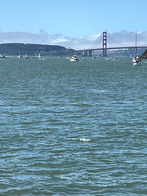 Tiburon: Guided Walking Tour - From the Railroad to Today Gallery Image 3