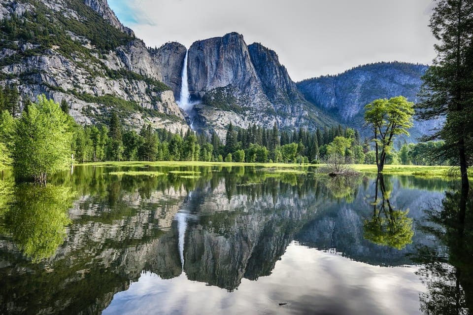 2-Day National Park Tour with Yosemite Lodge - Image 1