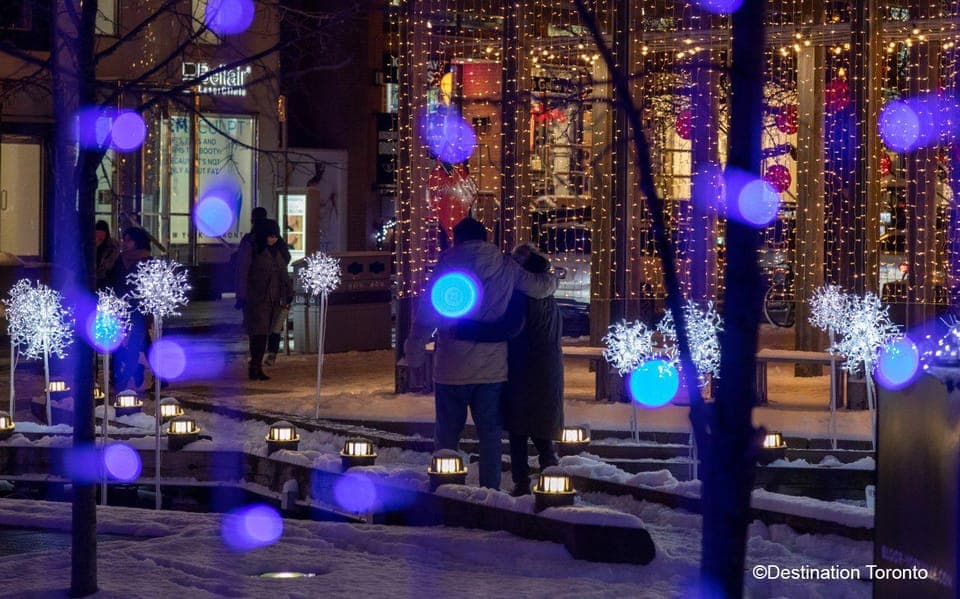 32. Festive Lights Bus Tour - Image 32