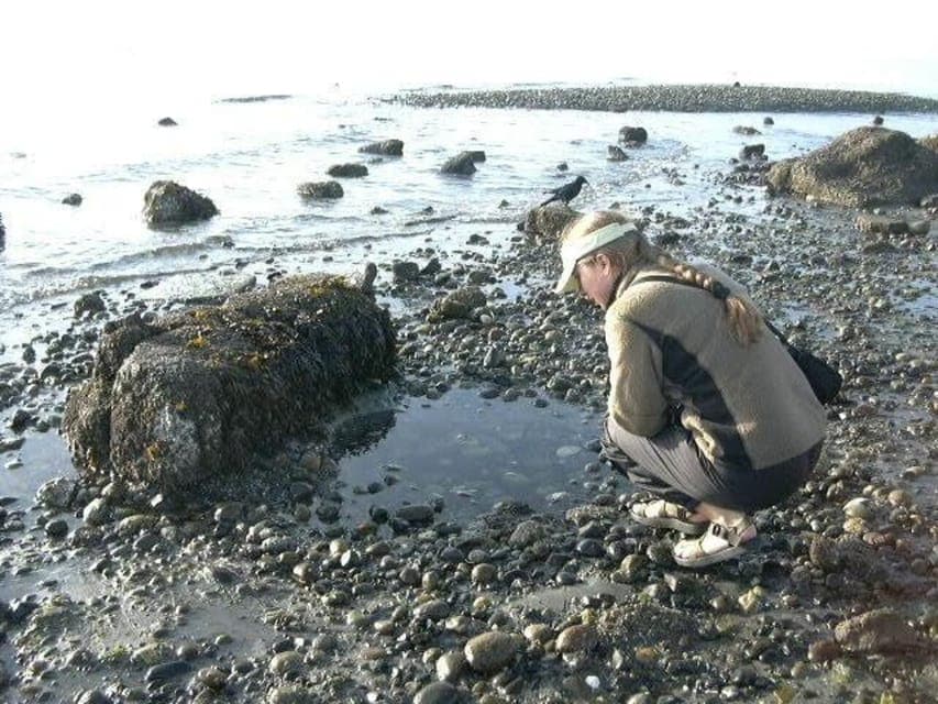 Alki Lighthouse Sea Kayak Tour Gallery Image 3