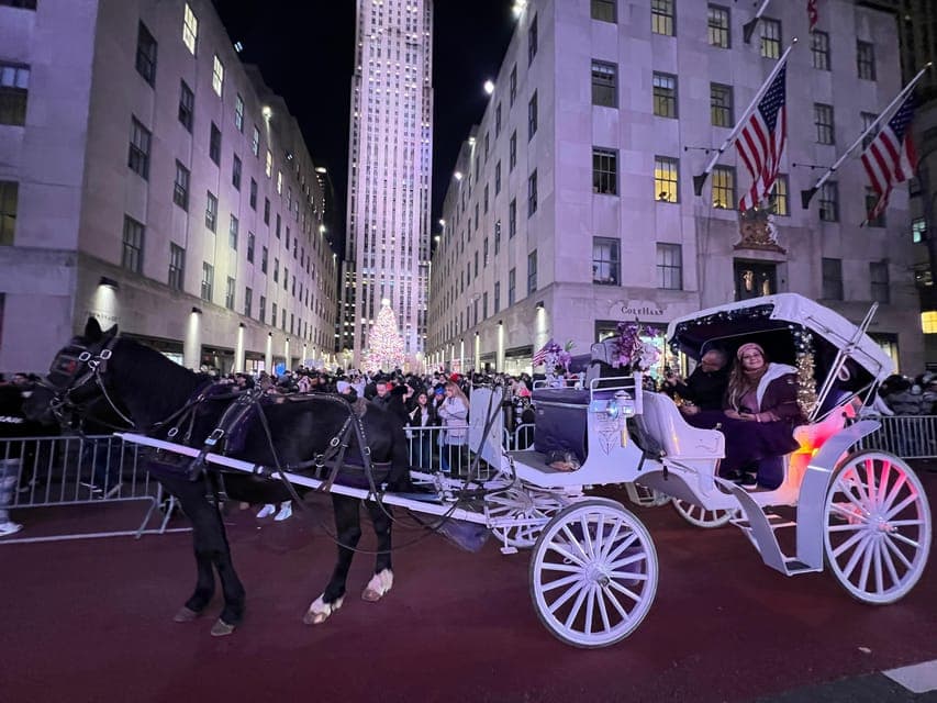 Private Christmas Lights Horse Carriage Ride Gallery Image 2