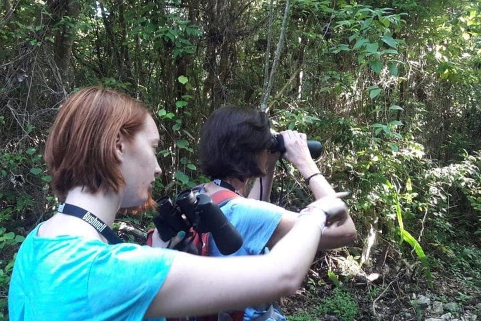 From Cancun: Bird Watching Day Tour Gallery Image 4