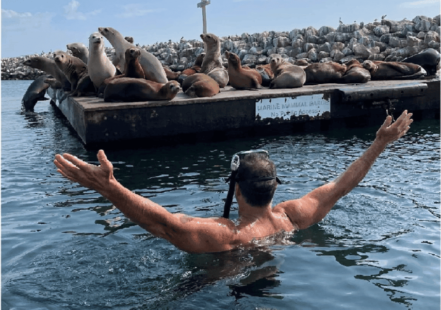 Redondo Beach: Kayak & Snorkel with Sea Lions Tour Gallery Image 2
