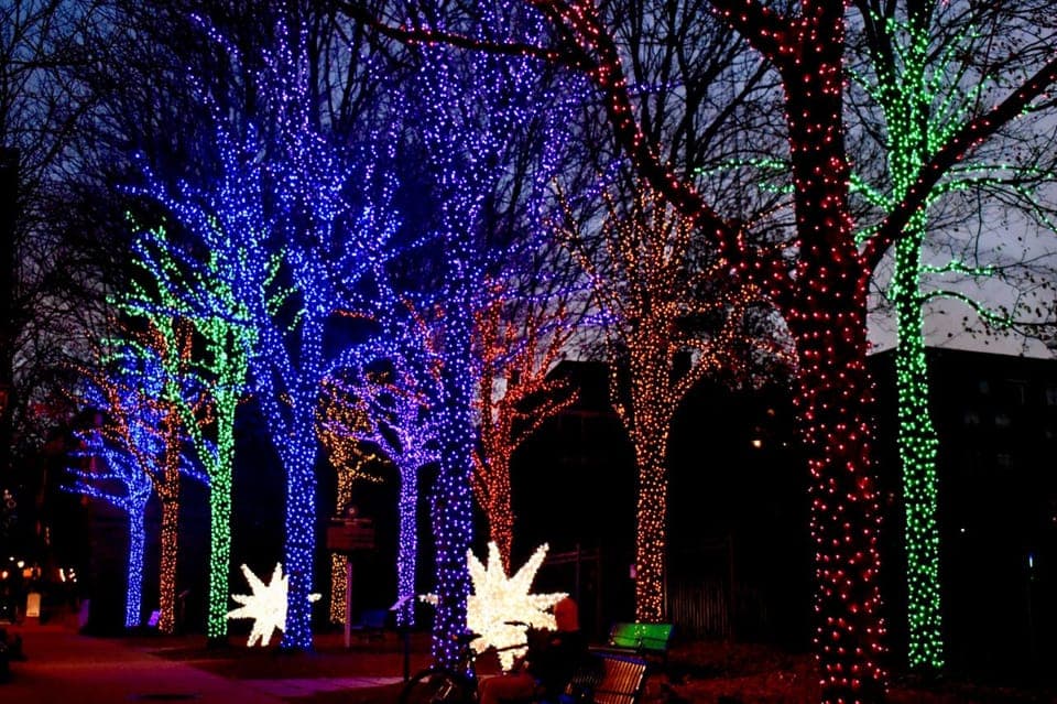 Christmas Private Walking Tour Gallery Image 3