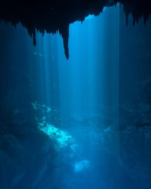Cancun 2 Cenote Dives: The Pit + Nicte Ha - Certified Divers Gallery Image 2
