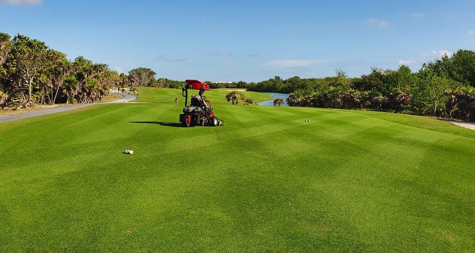 Playa Mujeres Golf Course Gallery Image 3