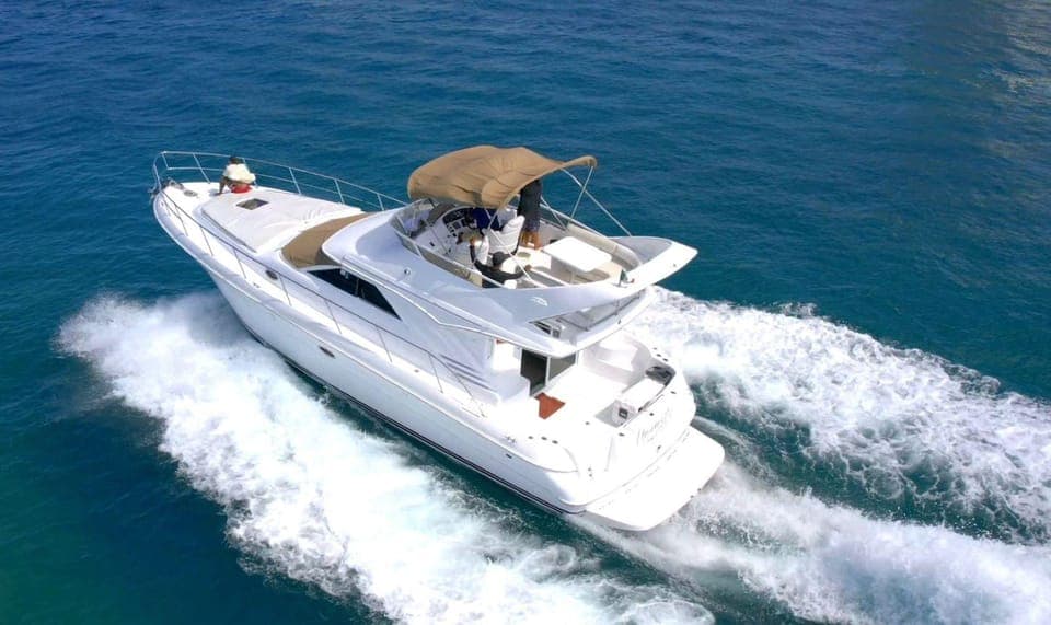 Cancun: Exclusive Sea Ray Express Bridge for 14 people Gallery Image 3