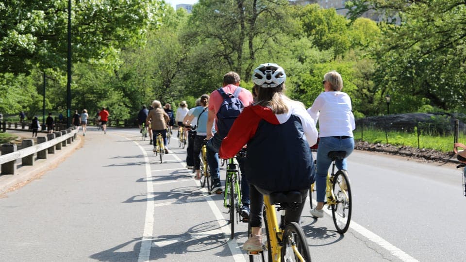 Bike Rentals Gallery Image 3