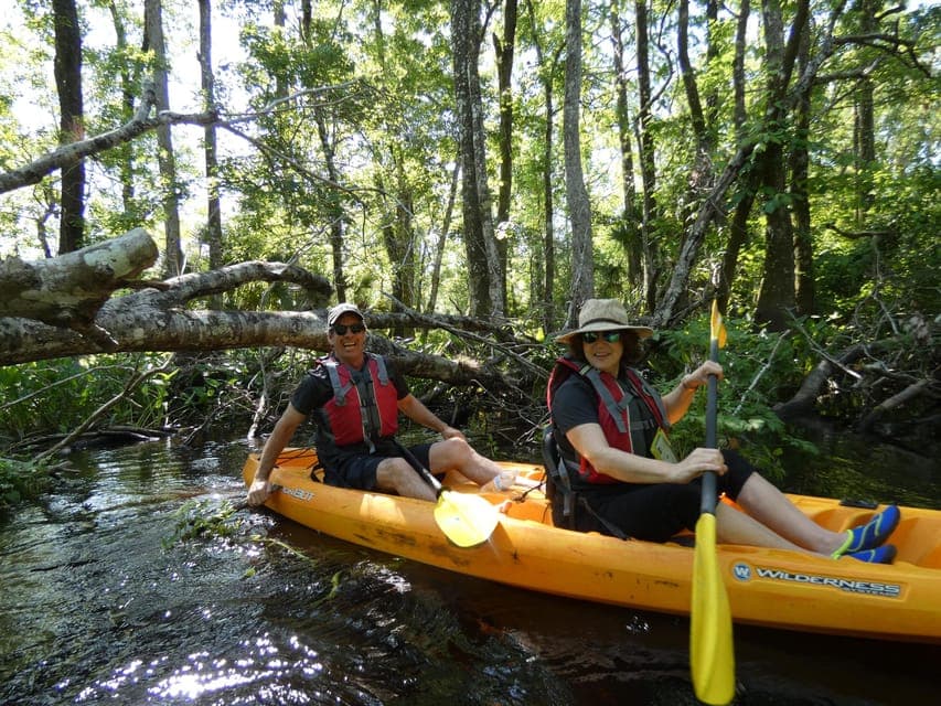 43. Blackwater Creek: Exclusive Nature Escape Kayak Adventure - Image 43