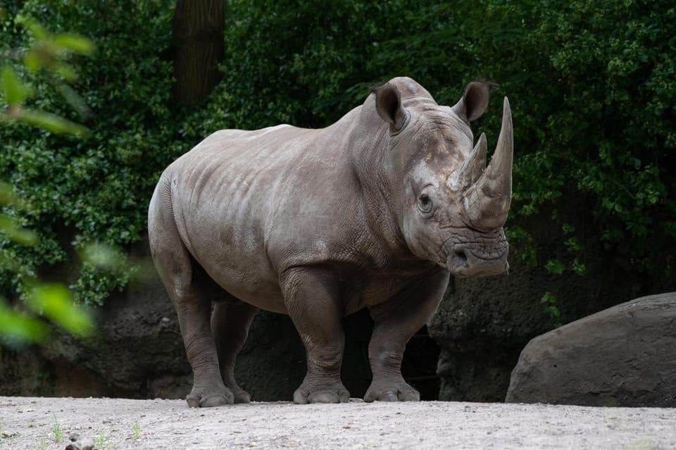 Bronx Zoo Entry Ticket Gallery Image 3