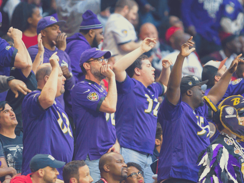 Ravens Football Game Ticket at M&T Bank Stadium Gallery Image 2