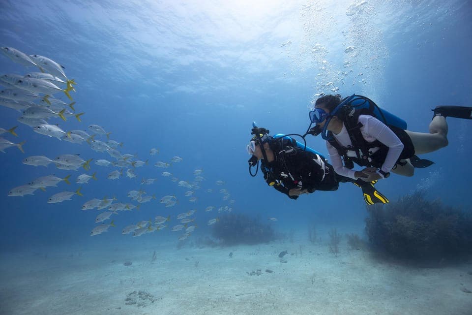 SCUBA DIVING INITIATION - Dive in and experience underwater adventures - 2 hours Gallery Image 3