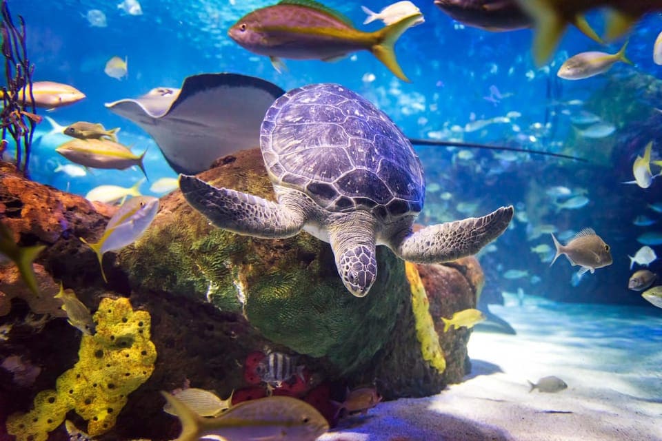 Toronto CityPASS®: Save up to 38% at 5 Top Attractions Gallery Image 3