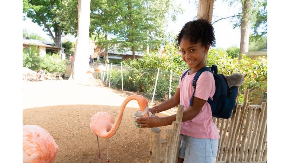 San Antonio Zoo Any Day Ticket Gallery Image 1