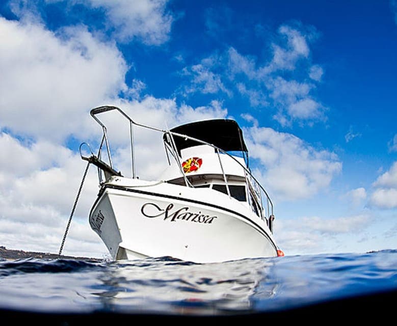 Mission Bay San Diego: Private Boat Cruises, Your Way Gallery Image 2