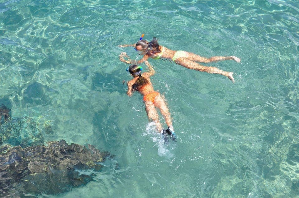 16. Miami Snorkeling for Beginners from Bayside Market Place - Image 16