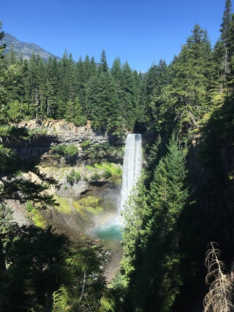 Whistler: Alpine Hiking Tour with Gondola Ride Gallery Image 4
