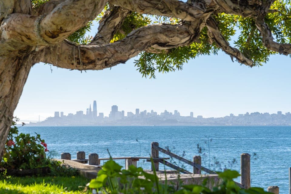 San Francisco Golden Gate Sausalito Muir Woods Private Tour Gallery Image 2
