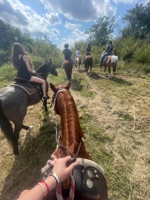Guided Horseback Riding Tour Gallery Image 2