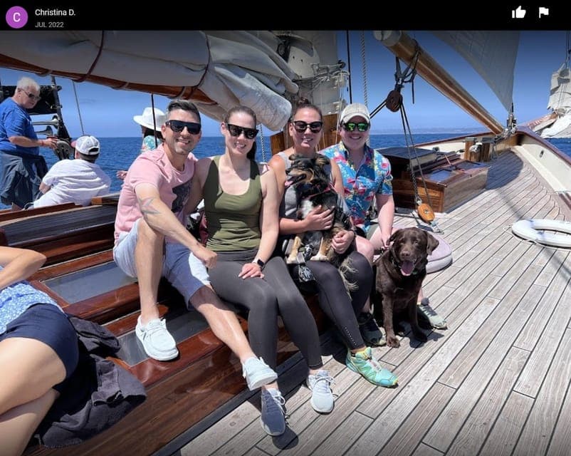 Whale Watching Cruise on the Yacht America Gallery Image 4