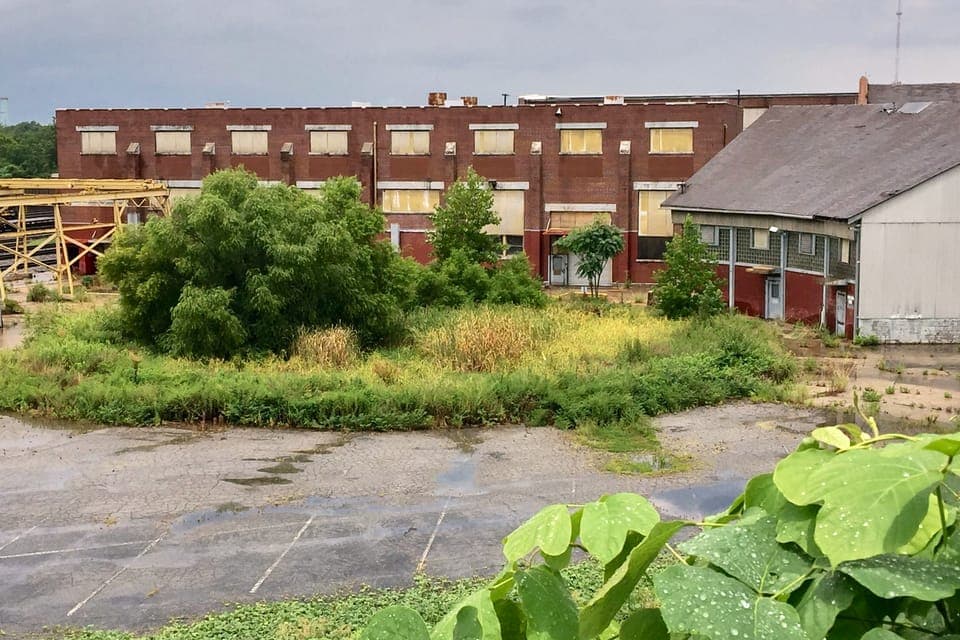 'The Walking Dead' VIP Private Tour Gallery Image 2