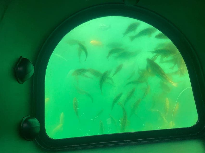 Long Beach: Glass Bottom Boat Harbor Ecotour Gallery Image 1