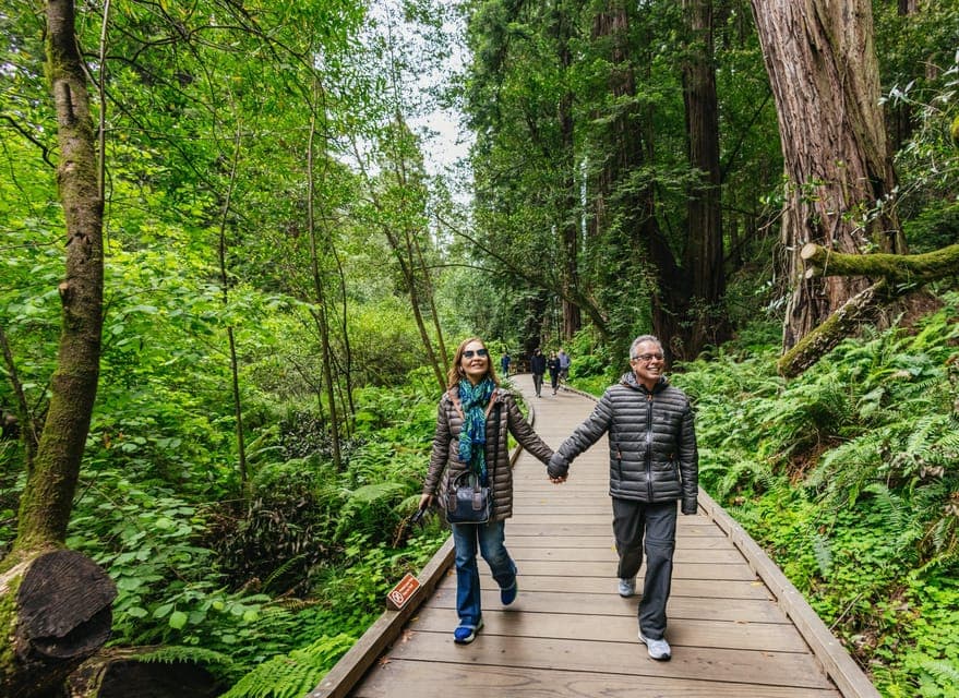 Muir Woods, Sausalito and Alcatraz Tour Gallery Image 2