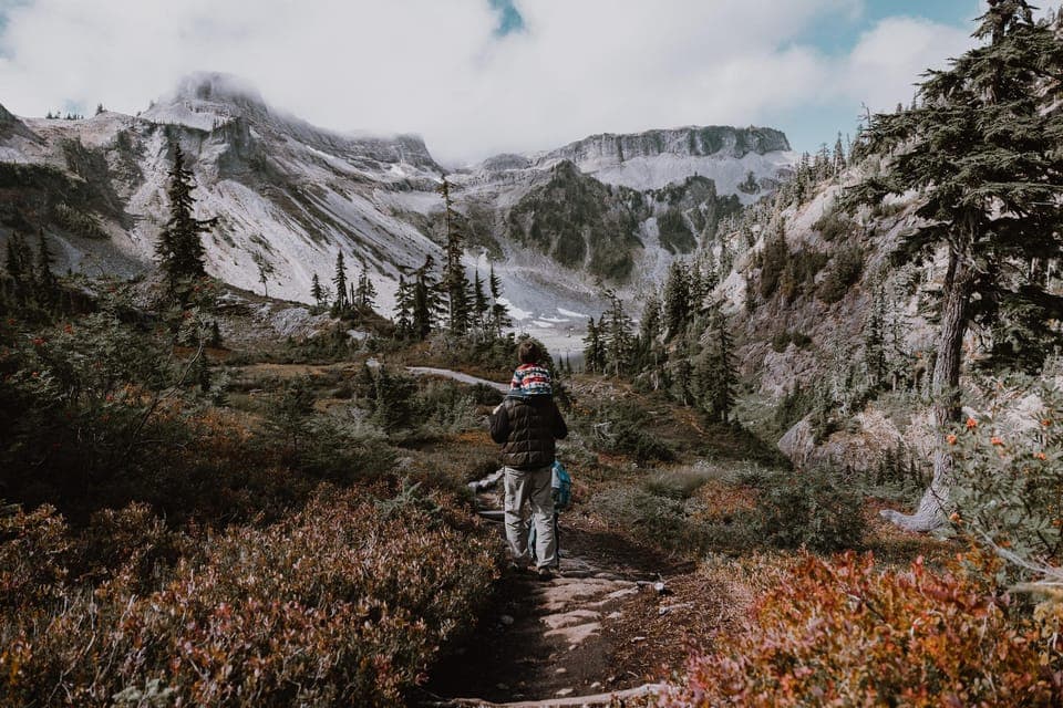 From Seattle - Enchanting Mt Baker & Cascade mountains tours Gallery Image 4