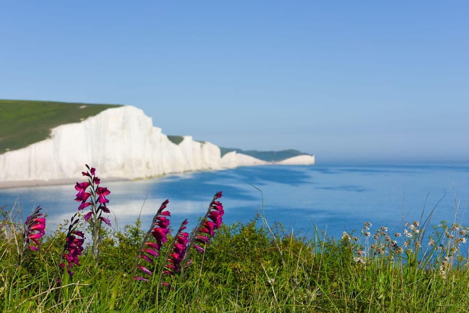 From London: Seven Sisters and Brighton Full-Day Tour - Image 3