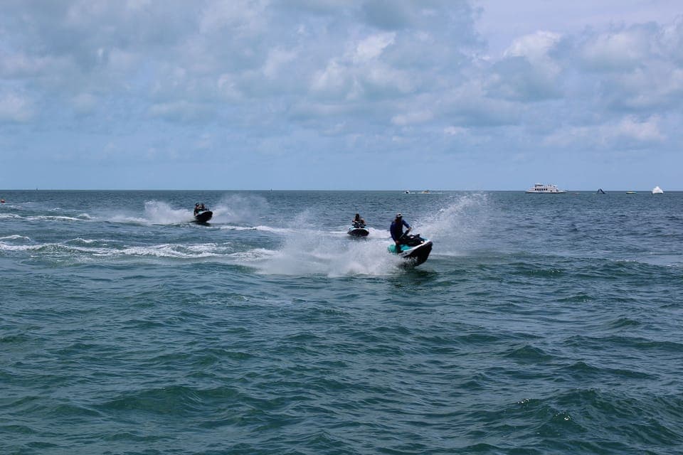Miami to Key West Shuttle: Dolphin, Snorkeling & More Gallery Image 2