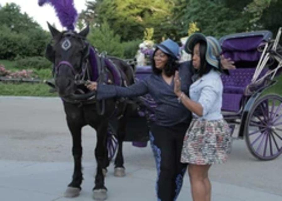 Central Park Horse Carriage 45-min Ride Gallery Image 4