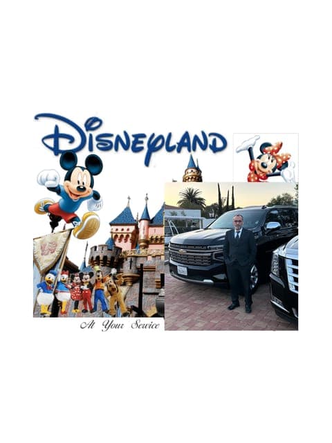 Magical roundtrip John Wayne Airport - Disneyland Gallery Image 1