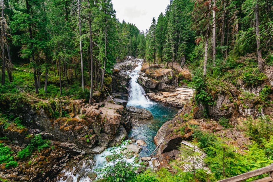Mount Rainier National Park Guided Tour Gallery Image 2