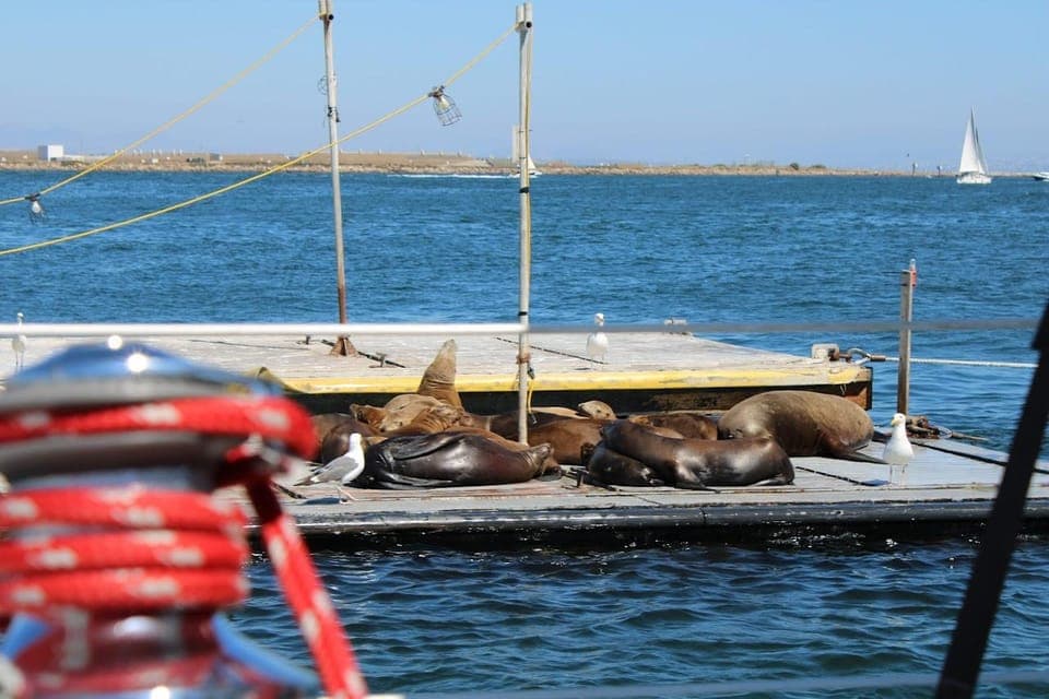 31. Private Morning Sail up to 12 guests - Image 31