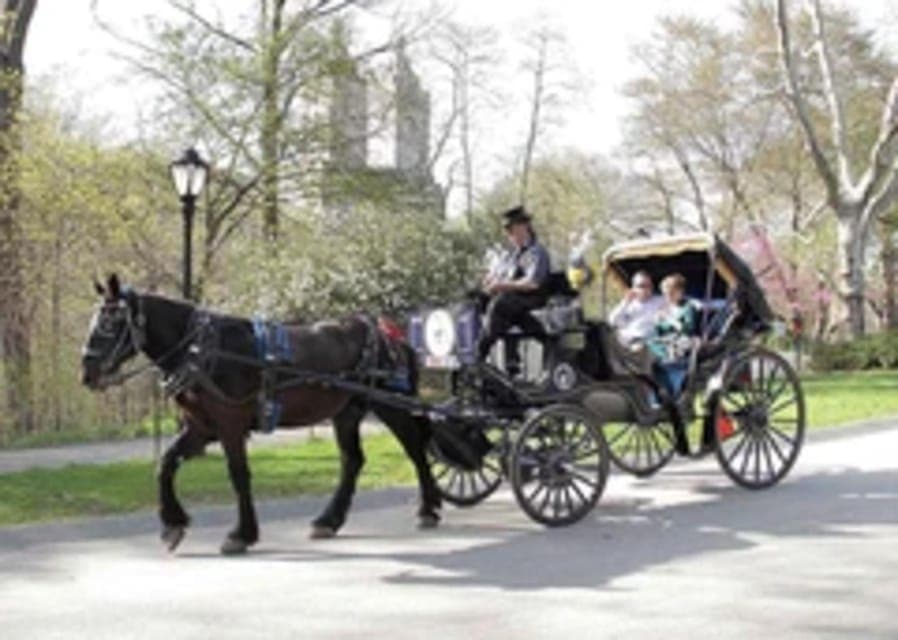 Central Park Horse Carriage 45-min Ride Gallery Image 3