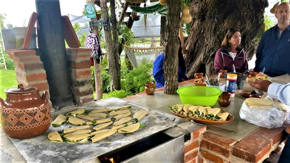 Xochimilco Day Trip: Farmland Food and Hop on a Trajinera Gallery Image 4