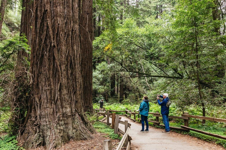 24. Muir Woods, Napa & Sonoma Valley Wine Tour - Image 24