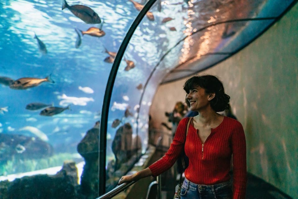 Hop-On Hop-Off Bus & Aquarium Tour Gallery Image 2