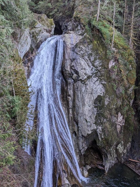 Snoqualmie, Twin Falls & Ancient Forest (Transport Included) Gallery Image 4