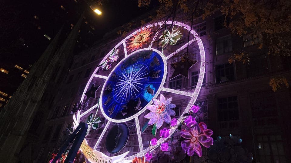 Christmas Lights Horse Carriage Ride Gallery Image 3