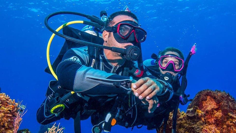 Miami Beach: Guided 2-Tank Reef and Wreck Dive Trip Gallery Image 4