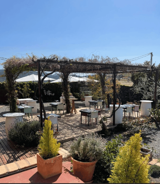 Priorat tour to 3 small wineries and hotel pick-up Gallery Image 4