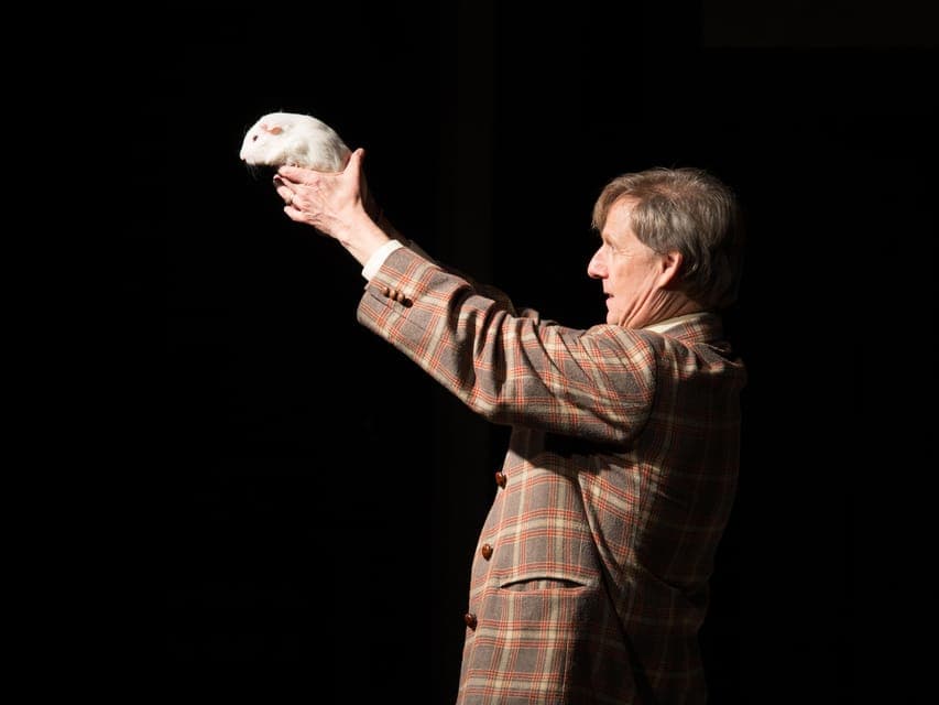 Mac King Comedy Magic Show at Excalibur Gallery Image 2