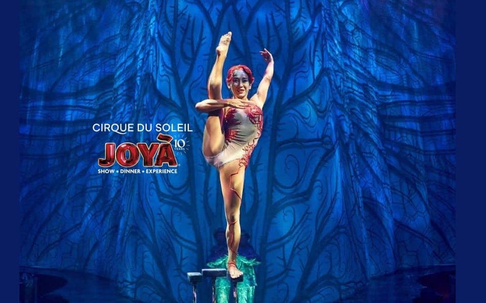 Cirque du Soleil JOYÀ Ticket Gallery Image 2