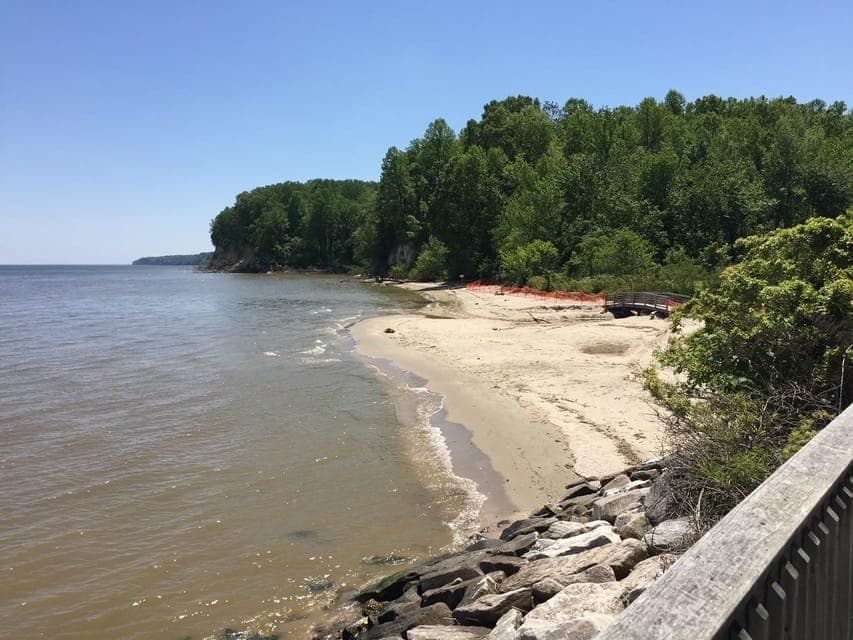 25. Chesapeake Beach: Guided Walking Tour to The Cliffs - Image 25