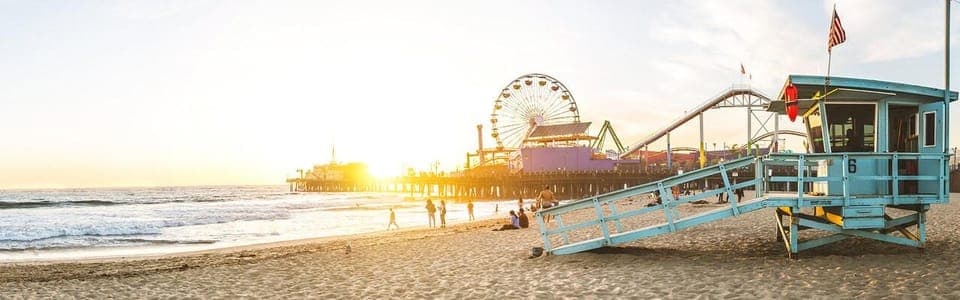 Private Airport Transfer from LAX to Hollywood/Downtown - Image 1