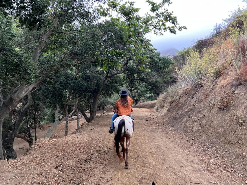 Horseback Riding and Wine Tasting Tour Gallery Image 1